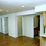 Basement Finish